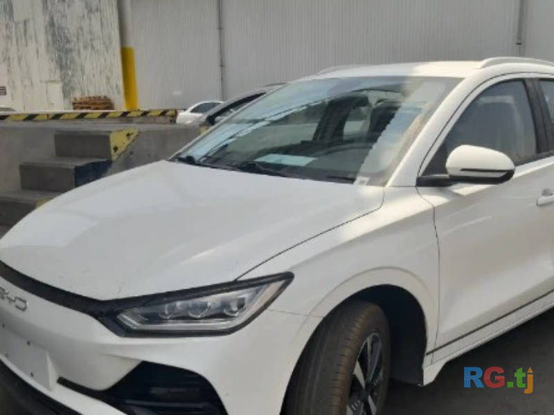 BYD 2024 г.
