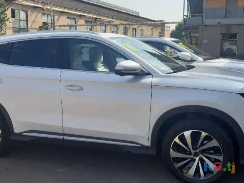 BYD 2024 г.