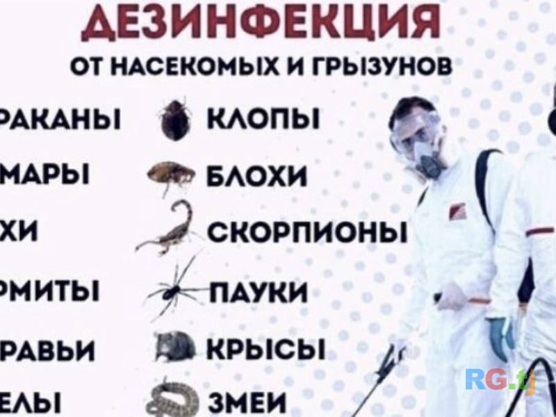 Дезенфекция дизенфекция дезинфекция дизинфекция dizinfeksiya
