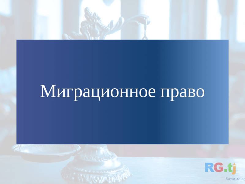 Консультация по правам миграции — миграционные услуги, проверка запрета, юридическая поддержка, легальный въезд и выезд