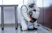 Дезинфекция квартир и офисов — уничтожение паразитов, тараканов, клопов, мышей, безопасно и эффективно!