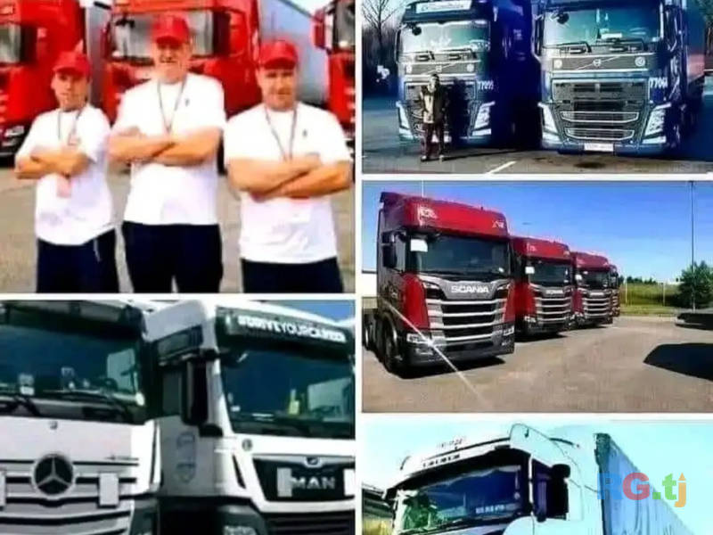 Услуги водителя категорий CE и D — профессиональные перевозки, грузовые и пассажирские рейсы!