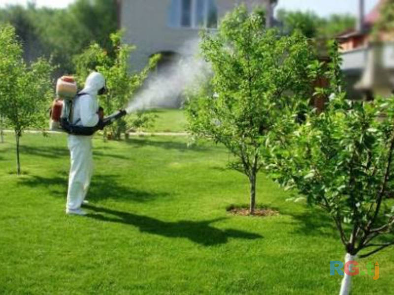 Опрыскивание деревьев и растений — защита от вредителей, болезни, обработка сада быстро и эффективно!