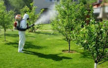 Опрыскивание деревьев и растений — защита от вредителей, болезни, обработка сада быстро и эффективно!